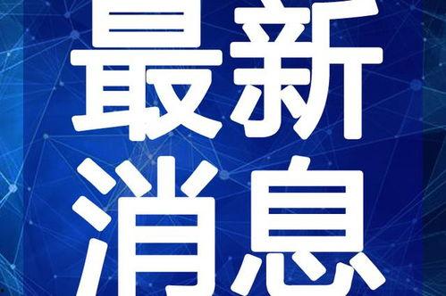 林州爆料新闻最新视频,视频揭露惊人真相,引发社会关注